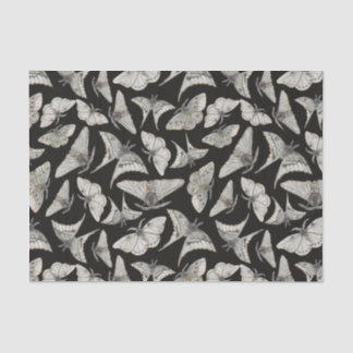 Papel De Seda Dia das Bruxas da Borboleta Negra