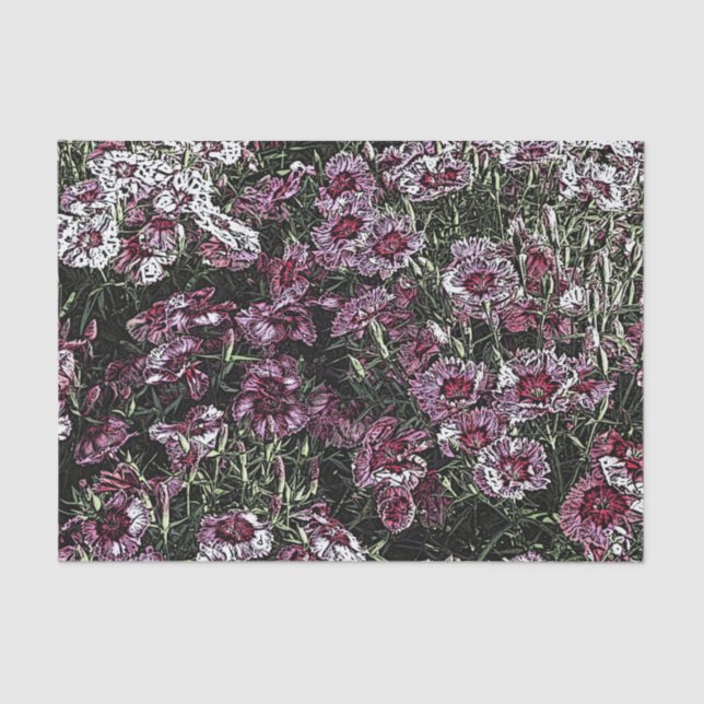 PAPEL DE SEDA DIANTHUS (Frente )