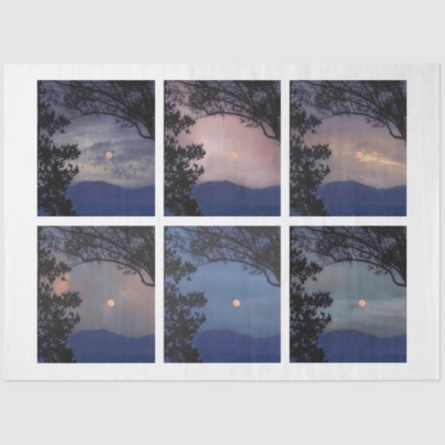 Papel De Seda Diário de Lixo Ferie Skies Moon Trees Fantasy 19-2 (Frente )