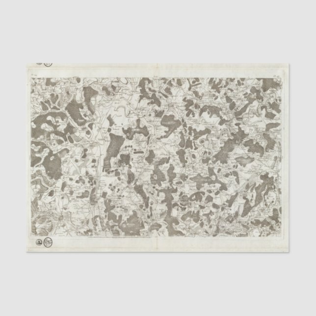 Papel De Seda Dijon (Frente )