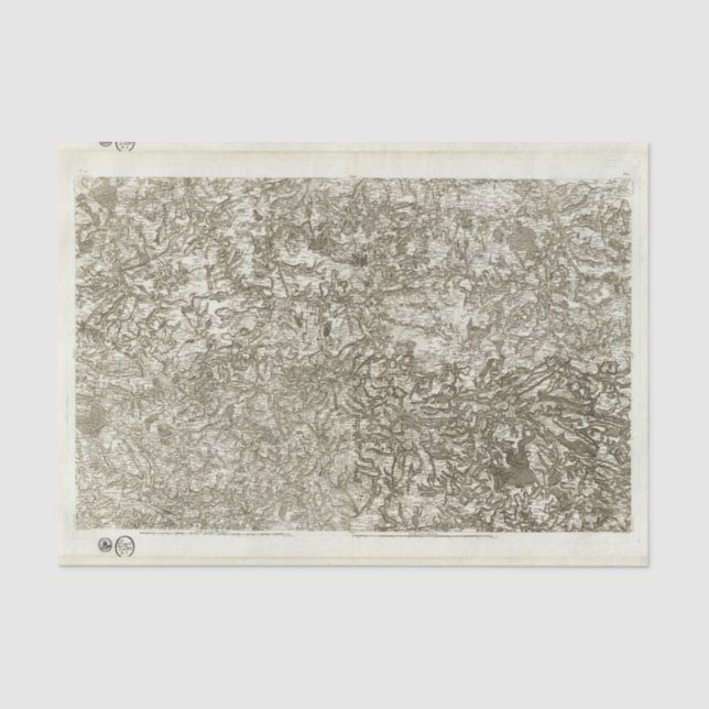 Papel De Seda Dinan (Frente )