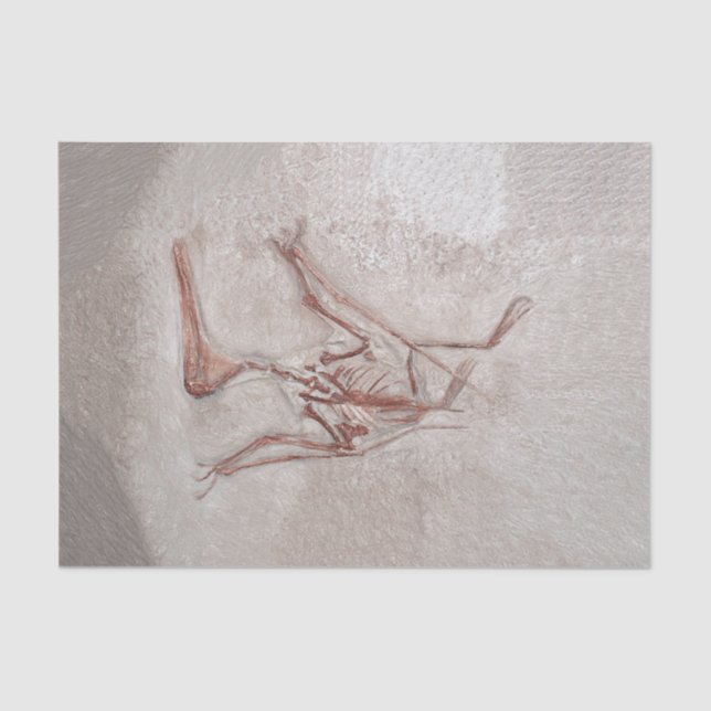 Papel De Seda Dinossauro Ossos Arte Pré-Histórica Antiga (Frente )