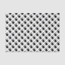 Papel De Seda Diploma de formando Recebido