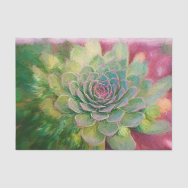 Papel De Seda Dissociação de Aquarela Rosa Verde Russo Suculta (Frente )