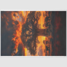 Dissociação de Elefante de Árvore Sunset Africano