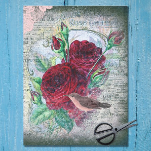 Papel De Seda Dissociação de Ephemera da Finalização do Rosa
