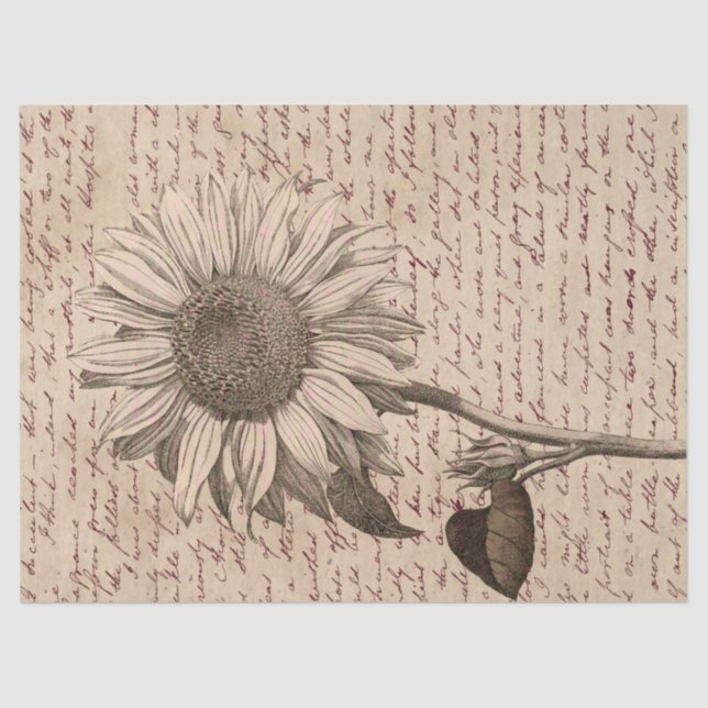 Papel De Seda Dissociação de Ephemera de Script Sunflower (Frente )