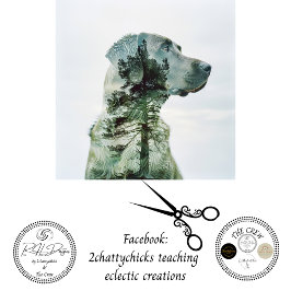 Papel De Seda Dissociação de filmes expostos ao laboratório de s