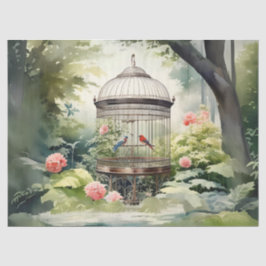 Papel De Seda Dissociação de Gaiolas de Pássaros Vitorianos