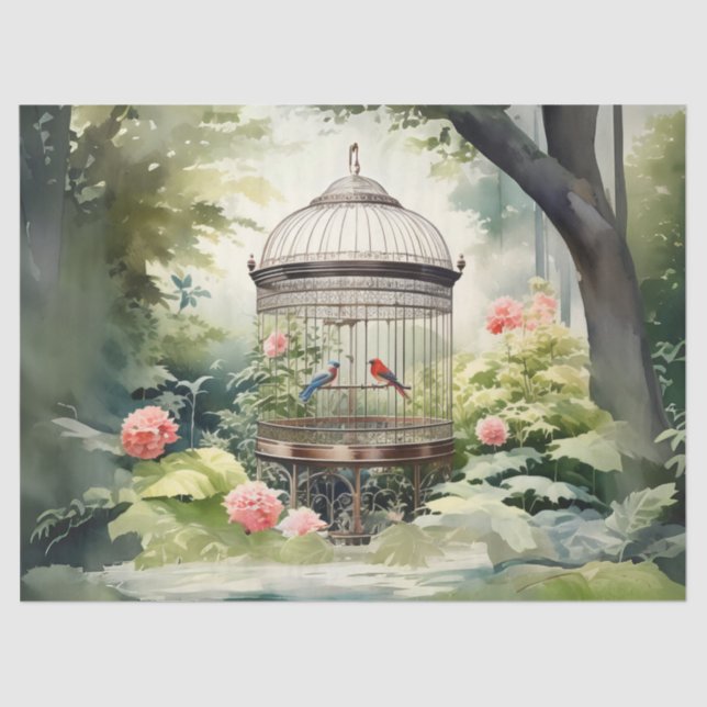 Papel De Seda Dissociação de Gaiolas de Pássaros Vitorianos (Frente )