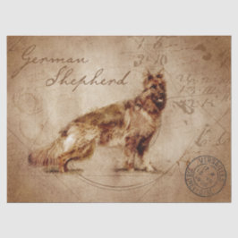 Papel De Seda dissociação de German shepherd