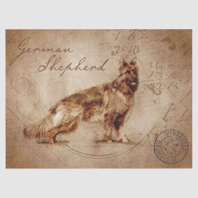 Papel De Seda dissociação de German shepherd (Frente )