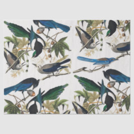Papel De Seda Dissociação de Padrão de Aves Vintage e Folhas