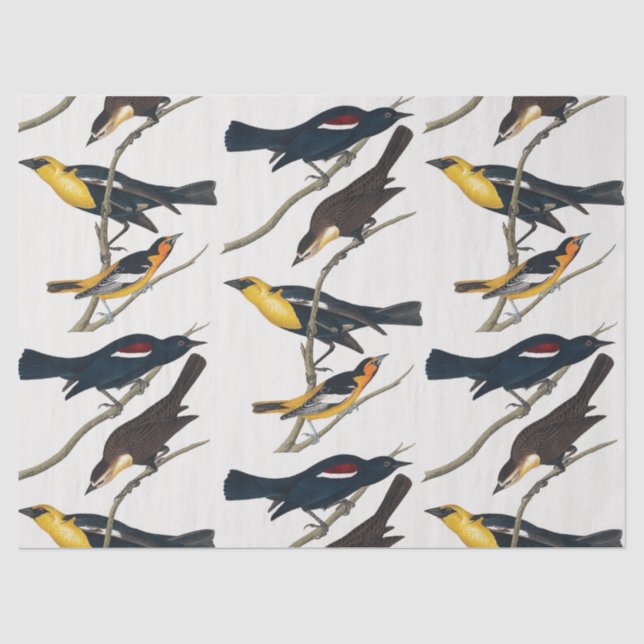 Papel De Seda Dissociação de padrões de aves e ramos (Frente )