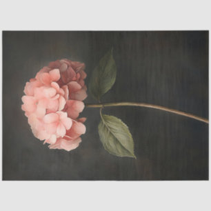 Papel De Seda Dissociação de pintura botânica com Hydrangea rosa