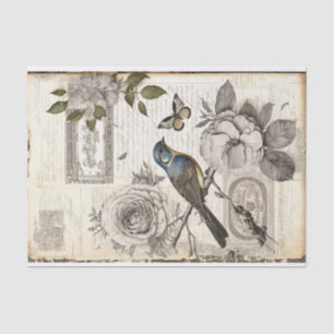 Papel De Seda Dissociação de Texto Floral do Vintage Bird