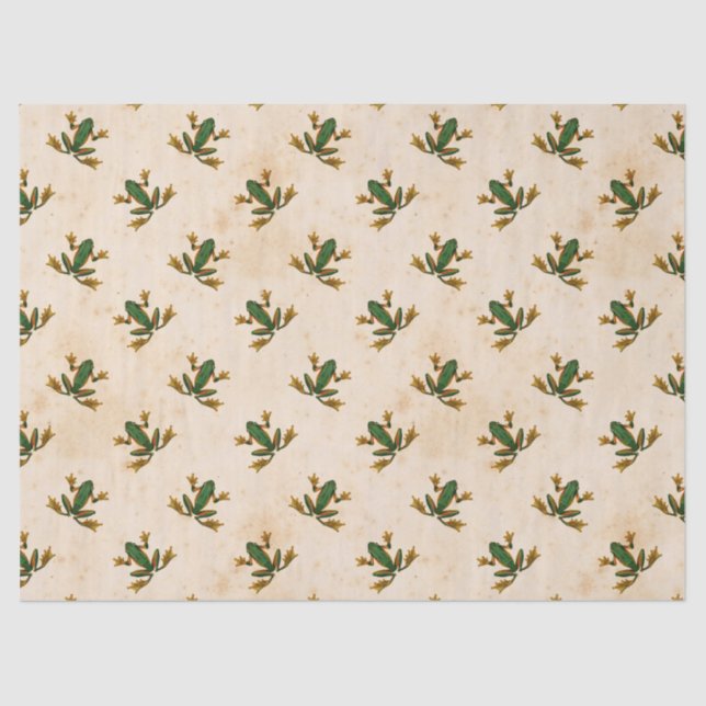 Papel De Seda Dissociação do Sapo Verde (Frente )