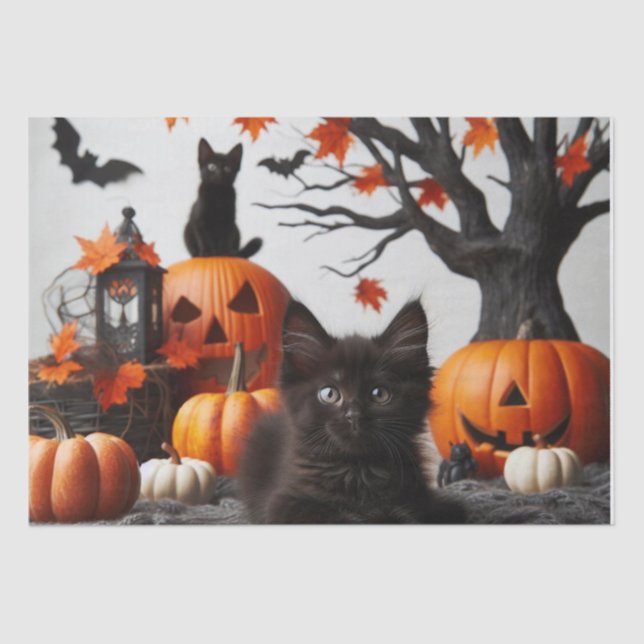 Papel De Seda Dissociação Halloween Cat e Pumpkins (Frente )