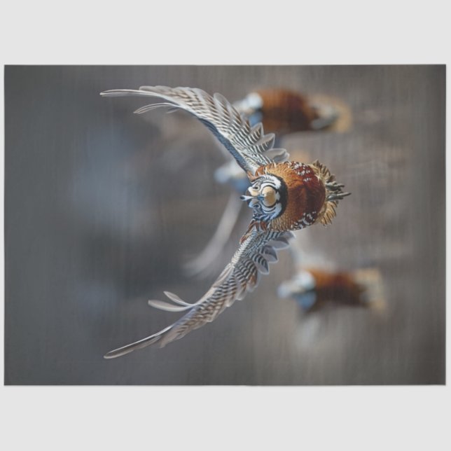 Papel De Seda Dissociação Intrai Pássaro Em Voo (Frente )