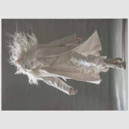 Papel De Seda Dissociação Moda Mostra Branca de Gato