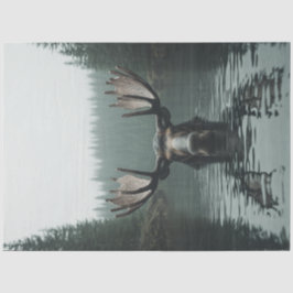 Papel De Seda Dissociação Moose Em Reflexão De Água Grandes Barr