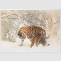 Dissociação por Aquarela Tigre e Cub Art