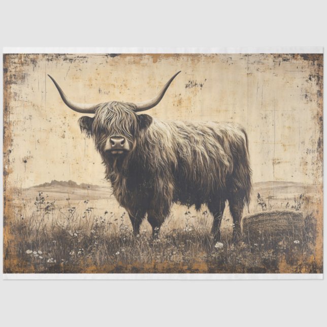 Papel De Seda Dissociação Rustic Highland Cattle (Frente )