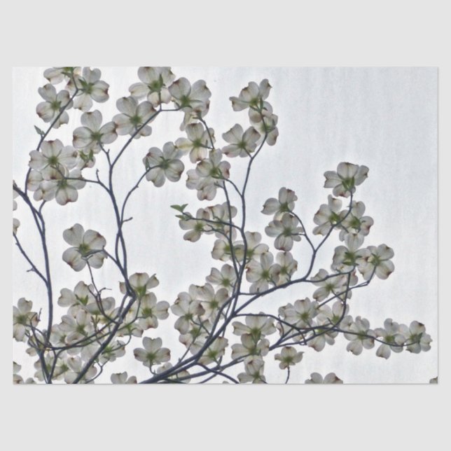 Papel De Seda Dogwood Flor Branco (Frente )