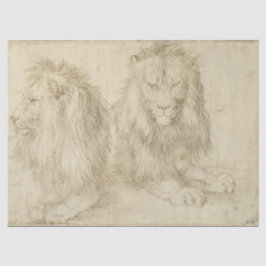 Papel De Seda Dois Leões Sentados (Animais Selvagens) (Albrecht 