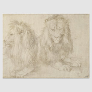 Papel De Seda Dois Leões Sentados (Animais Selvagens) (Albrecht