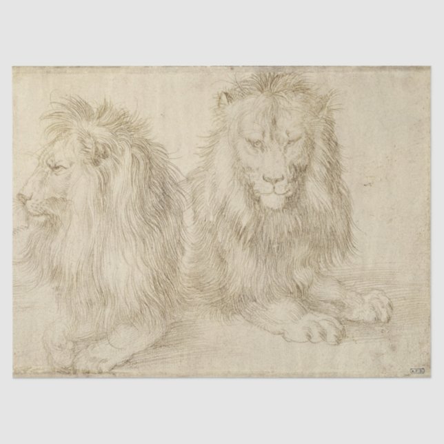 Papel De Seda Dois Leões Sentados (Animais Selvagens) (Albrecht  (Frente )