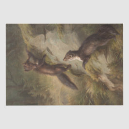 Papel De Seda Dois Martens em Pedra na Floresta