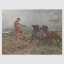 Dois Pôs Shetland numa Paisagem Escocitária Mistur