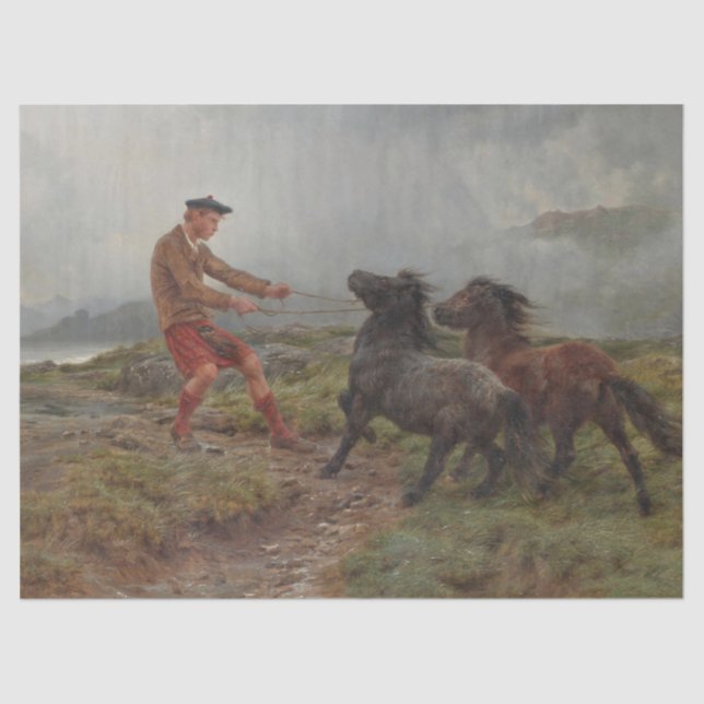 Papel De Seda Dois Pôs Shetland numa Paisagem Escocitária Mistur (Frente )