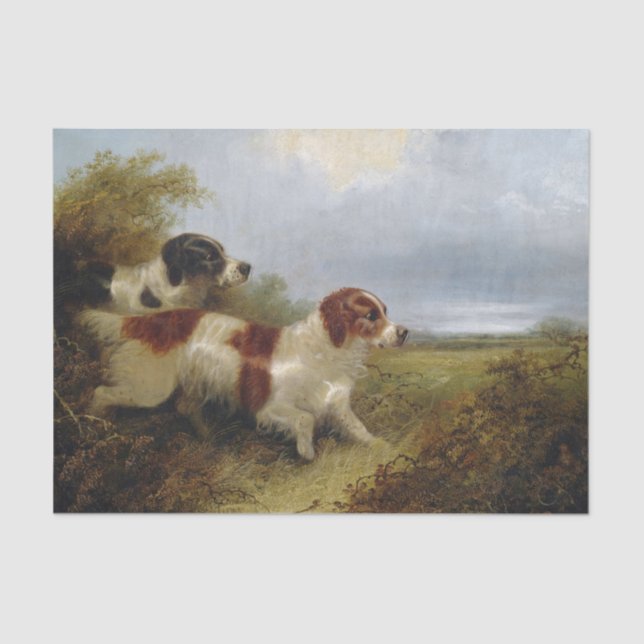 Papel De Seda Dois Terriers por Edward Armfield (Frente )