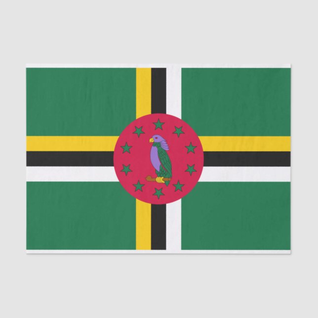Papel De Seda Dominica Flag (Frente )