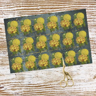 Papel De Seda Dourado crisântemo vermelho em Teal Damask n Escre