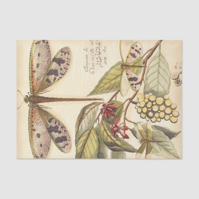 Papel De Seda Dragões com folhas e Frutas (Frente )