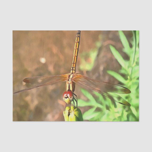 Papel De Seda Dragonfly Artística Descendo Na Cabeça Da Flor (Frente )