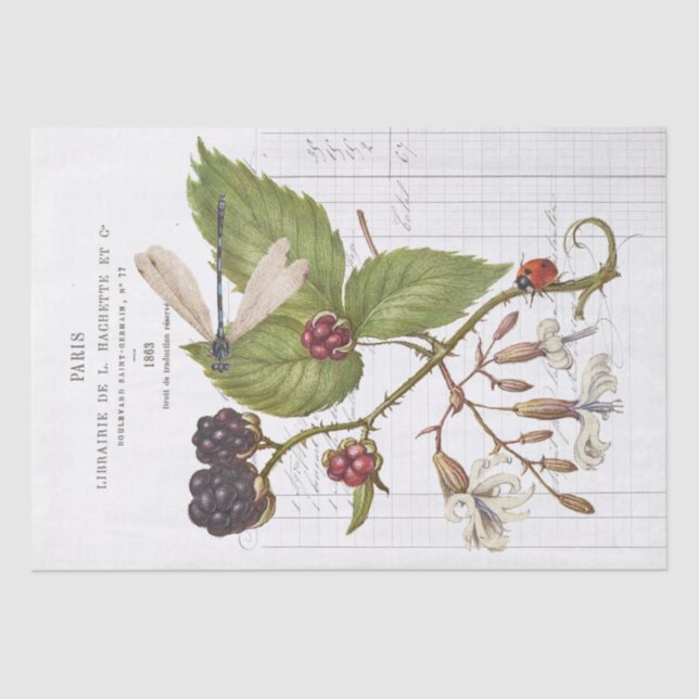 Papel De Seda Dragonfly Blackberry Ladybug Artesanato francês Vi (Frente )