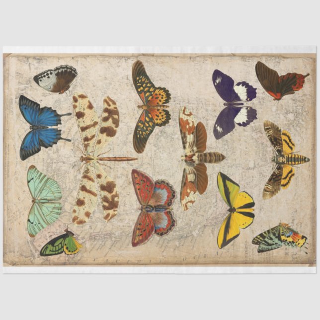 Papel De Seda Dragonfly Butterfly - desacoplamento (Frente )
