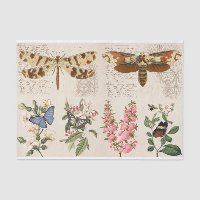 Papel De Seda Dragonfly Butterfly Flores-mama (Frente )