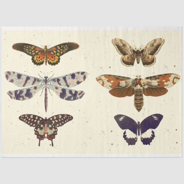 Papel De Seda Dragonfly Butterfly moth decoupagePapel Tecido (Frente )