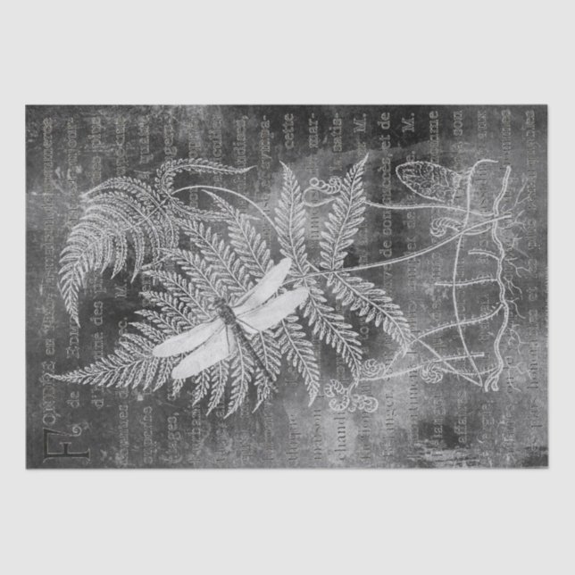 Papel De Seda Dragonfly Fern French Grunge Chalkboard Decoupage (Frente )