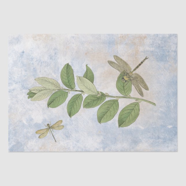 Papel De Seda Dragonfly Green deixa uma vinheta azul de dissocia (Frente )
