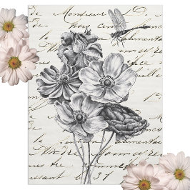 Papel De Seda Dragonfly Wildflower French Script Decoupage Idea