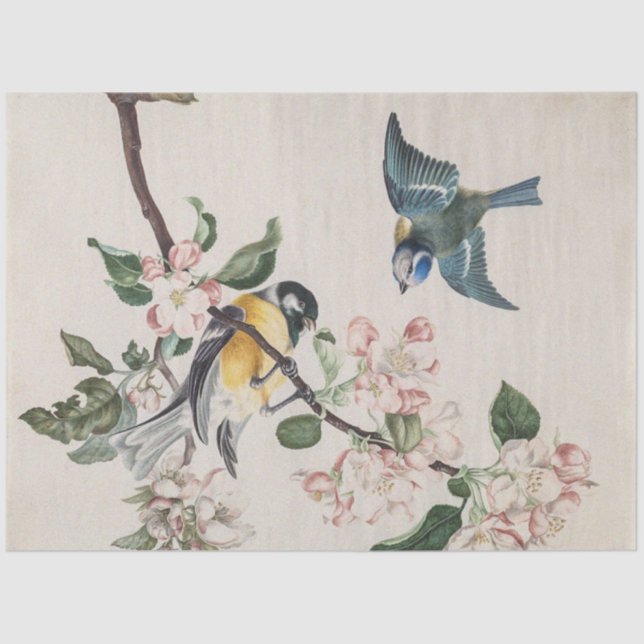 Papel De Seda Duas aves de tenda em uma macieira (Frente )