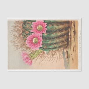 Papel De Seda Echinopsis Pentlandi por Charles Antoine Lemaire