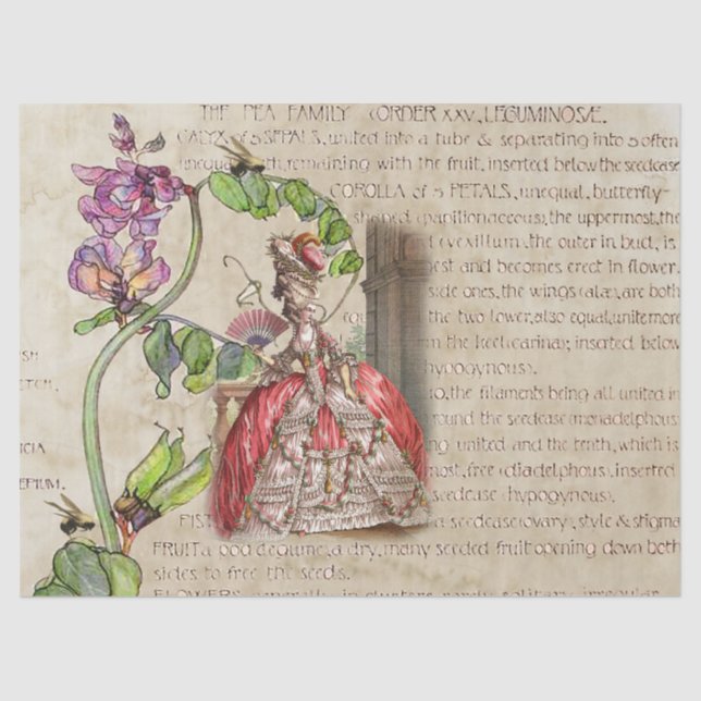 Papel De Seda Éfêmera Real do Século XVIII (Frente )