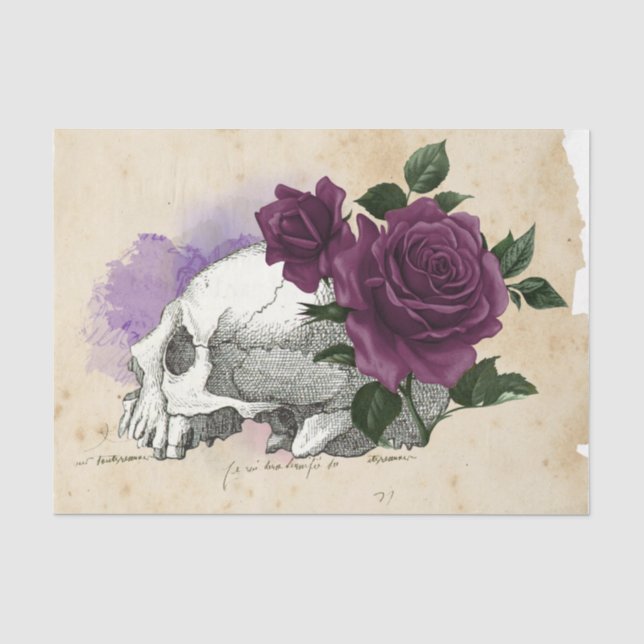 Papel De Seda Efêmeras de Bruxa Série de Design #6 (Frente )